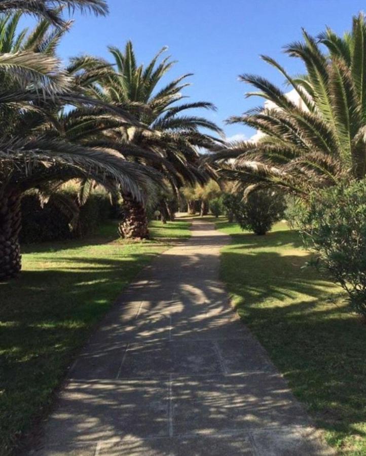 Rez De Jardin + Terrasse Piscine Et Acces Direct Plage Lejlighed Saint-Cyprien  Eksteriør billede