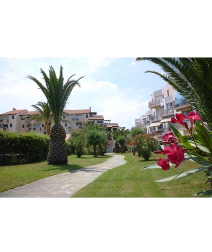 Rez De Jardin + Terrasse Piscine Et Acces Direct Plage Lejlighed Saint-Cyprien  Eksteriør billede