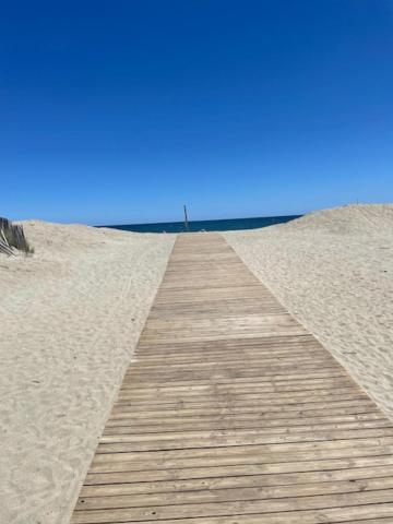 Rez De Jardin + Terrasse Piscine Et Acces Direct Plage Lejlighed Saint-Cyprien  Eksteriør billede